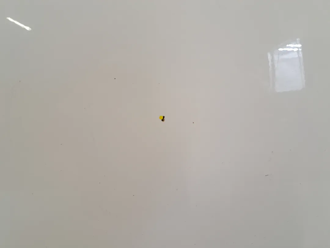 Porta anteriore destro Porta anteriore destro