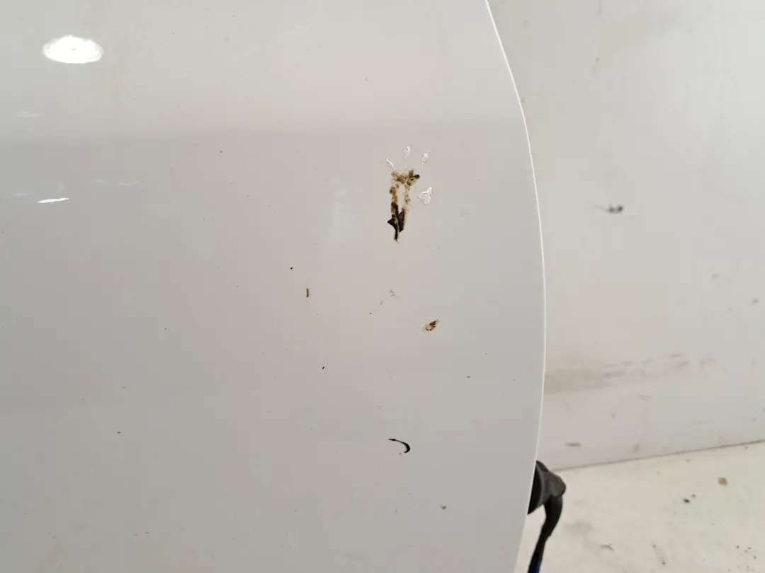 Porta anteriore destro