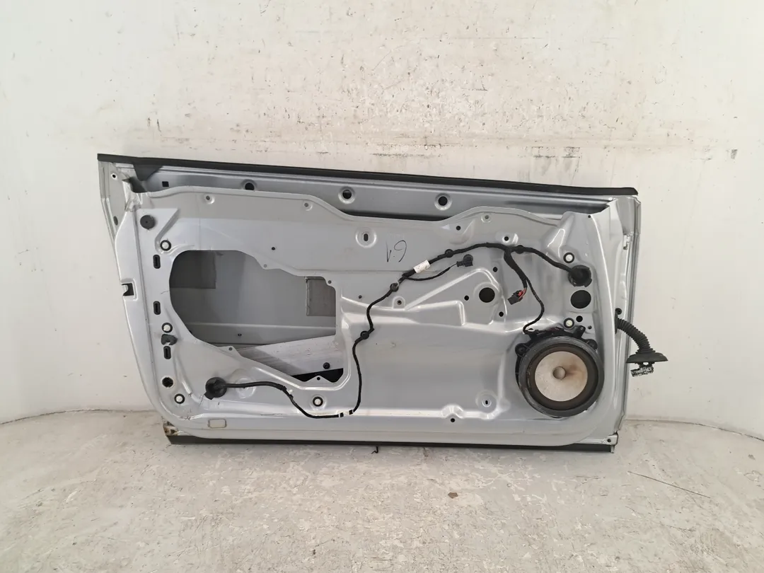 Porta anteriore sinistro