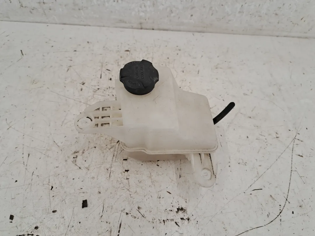 Vaschetta compensazione radiatore Vaschetta compensazione radiatore