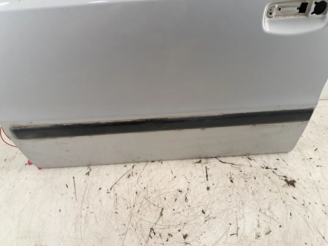 Porta anteriore sinistro