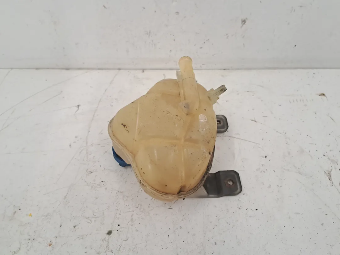 Vaschetta compensazione radiatore Vaschetta compensazione radiatore