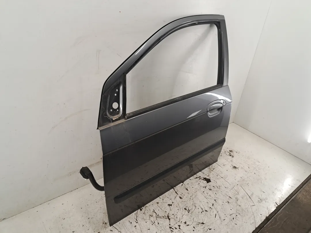 Porta anteriore sinistro