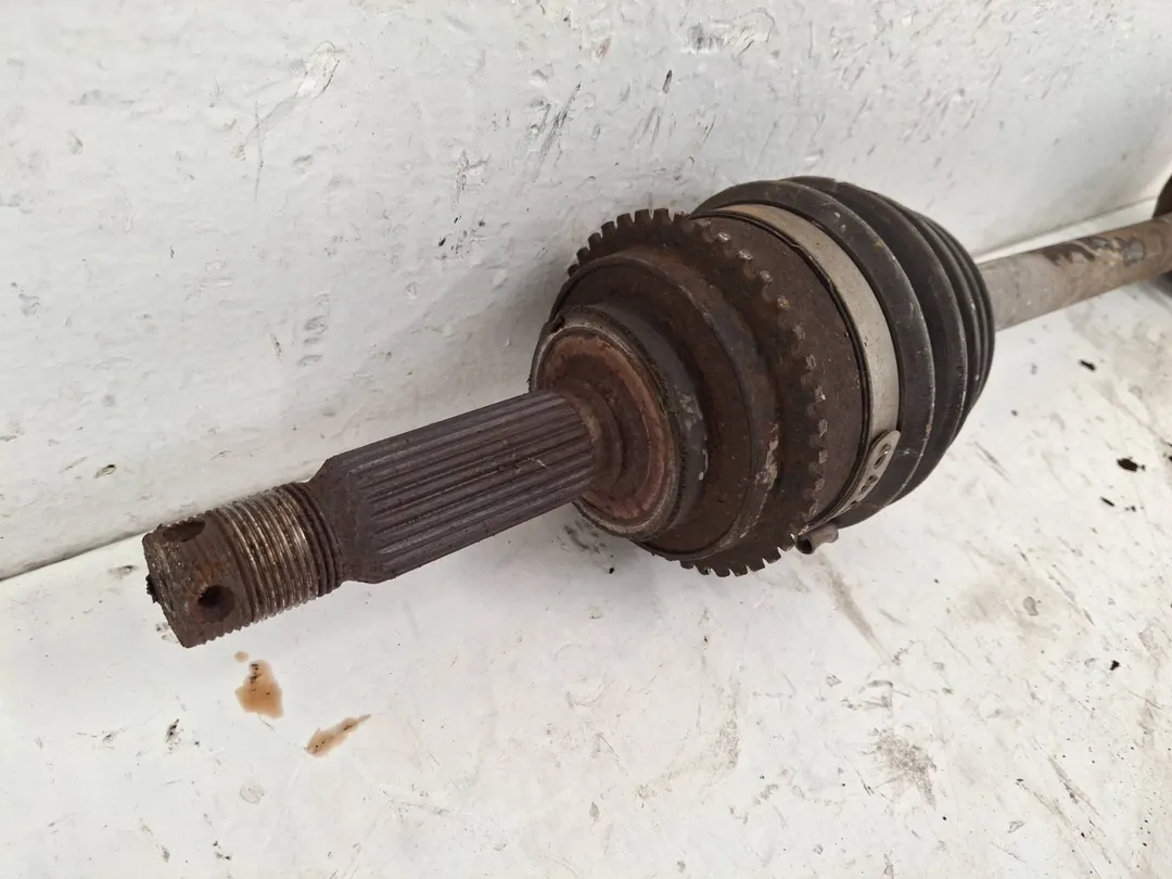 Semialbero anteriore sinistro