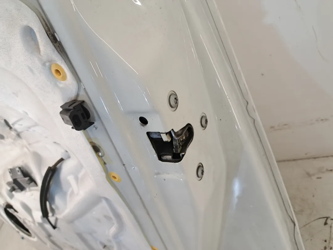 Porta anteriore destro