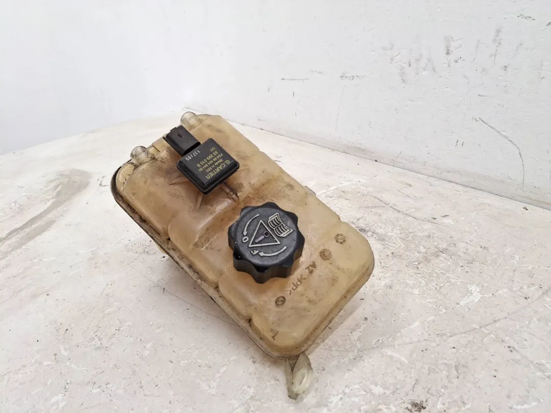 Vaschetta compensazione radiatore Vaschetta compensazione radiatore