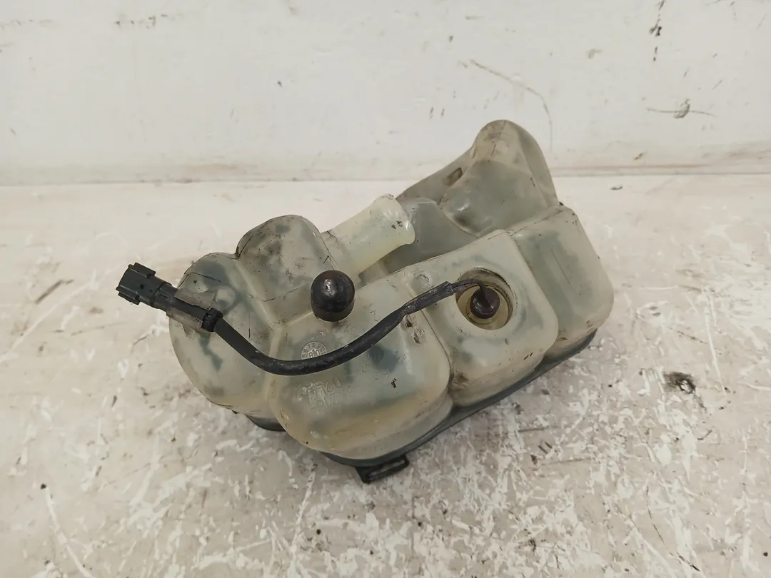 Vaschetta compensazione radiatore Vaschetta compensazione radiatore