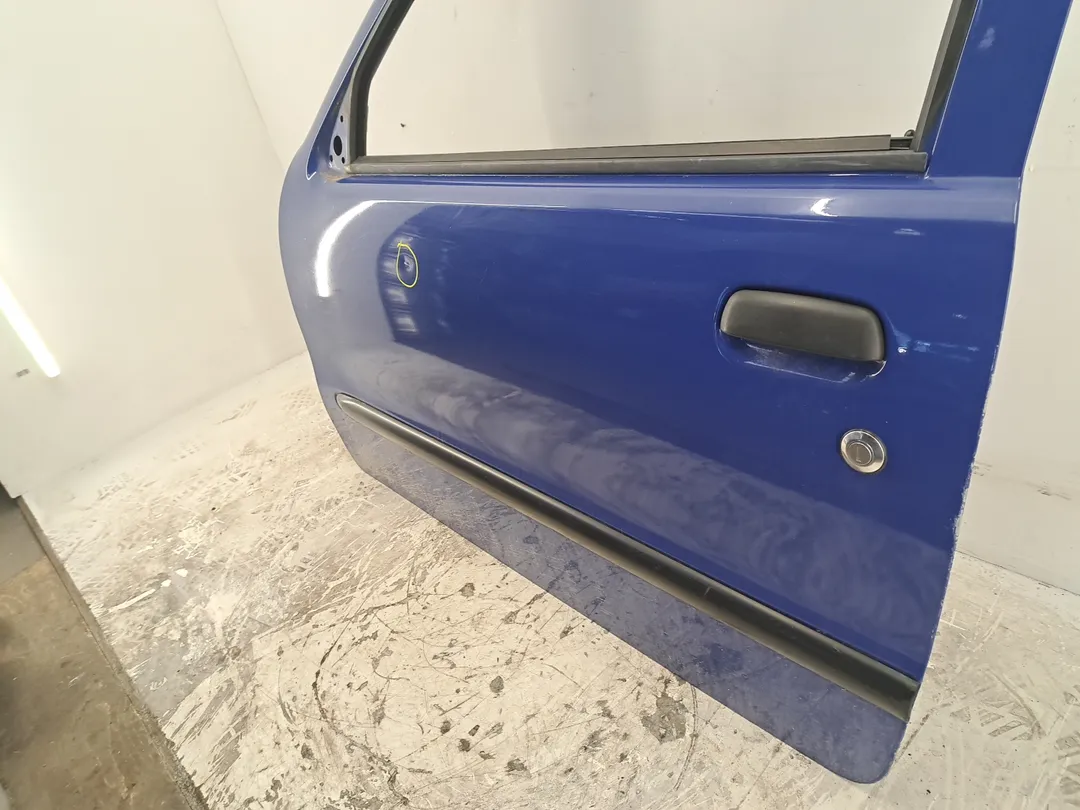 Porta anteriore sinistro
