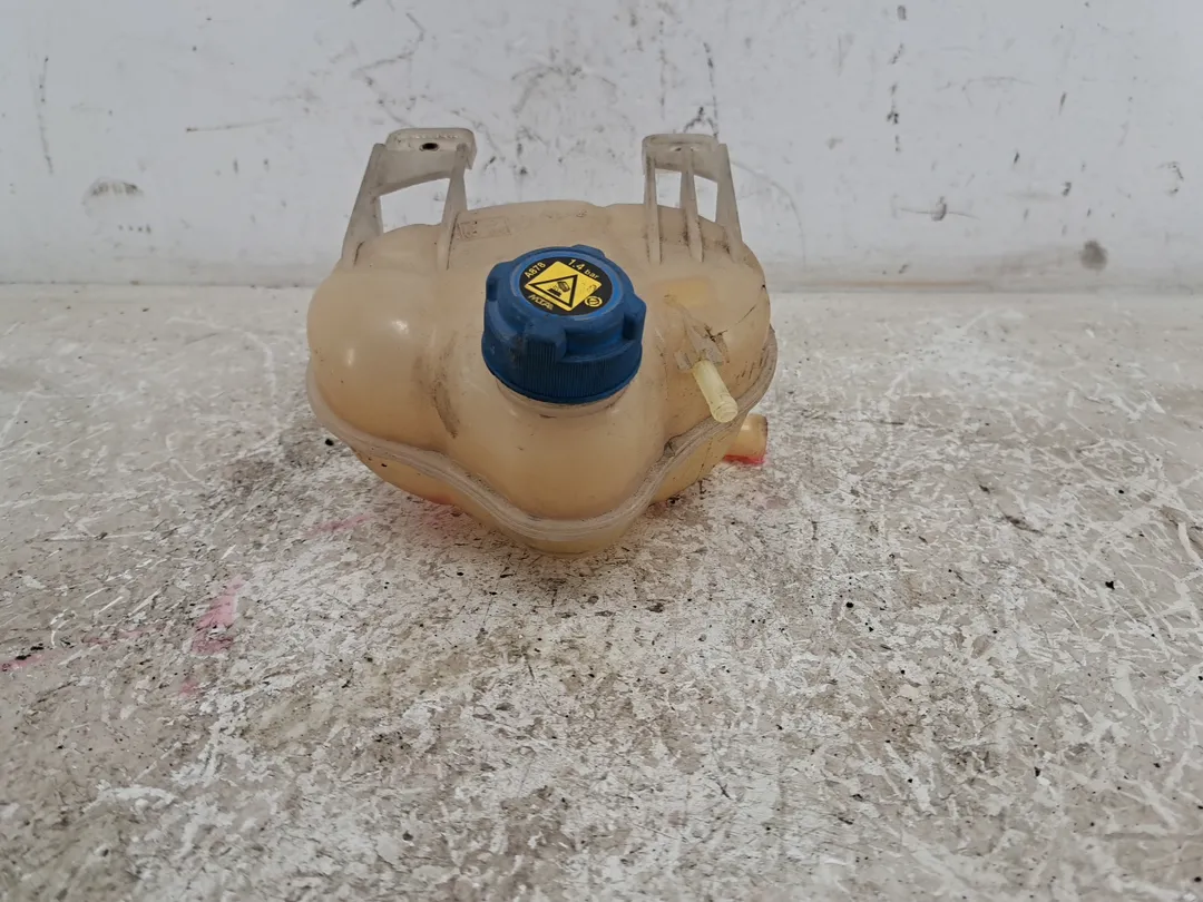Vaschetta compensazione radiatore