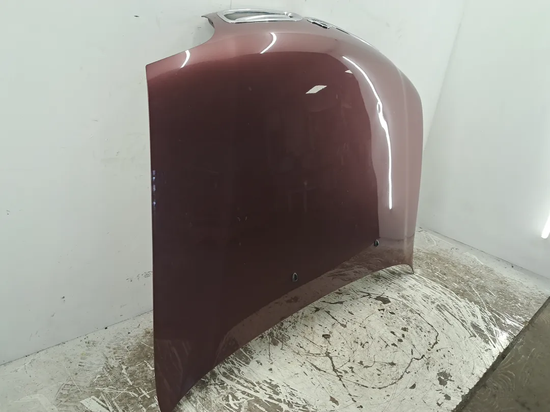 Cofano anteriore Cofano anteriore