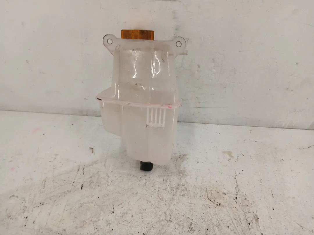 Vaschetta compensazione radiatore