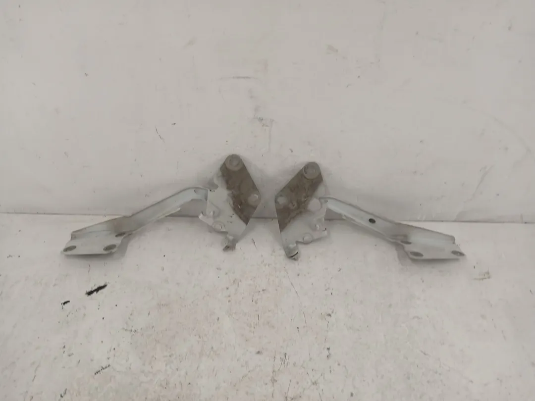 Cerniera cofano anteriore sinistro Cerniera cofano anteriore sinistro