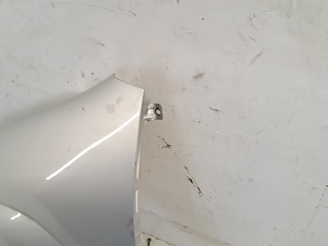 Parafango anteriore sinistro