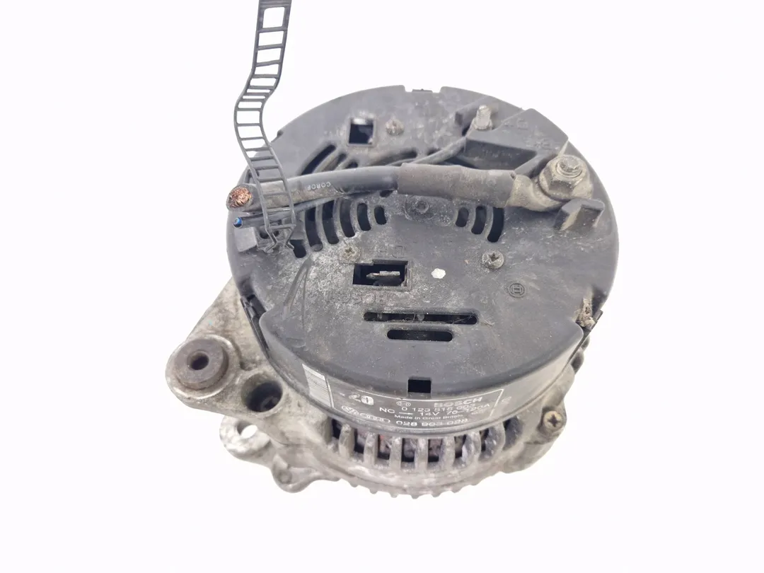 Alternatore sinistro