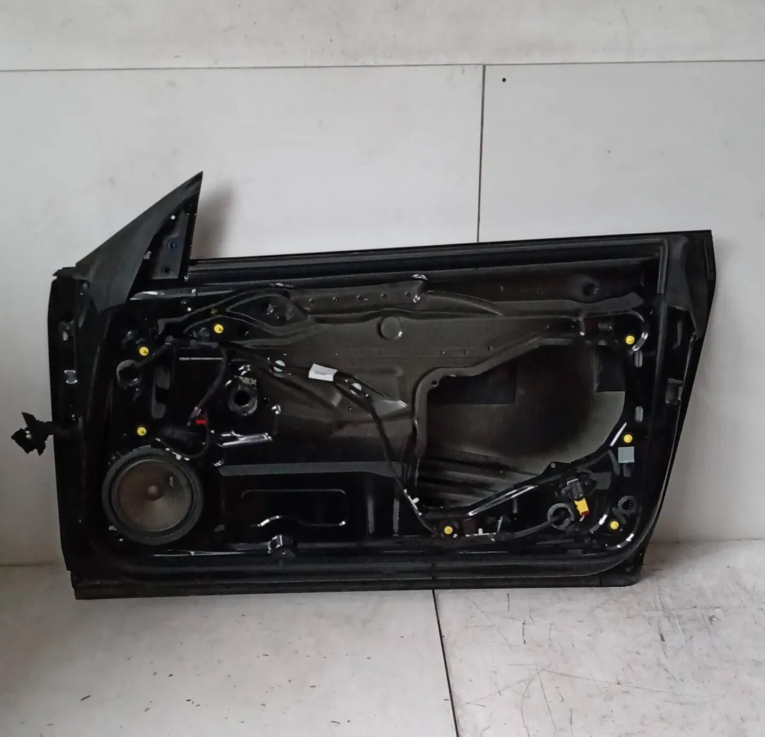 Porta anteriore destro