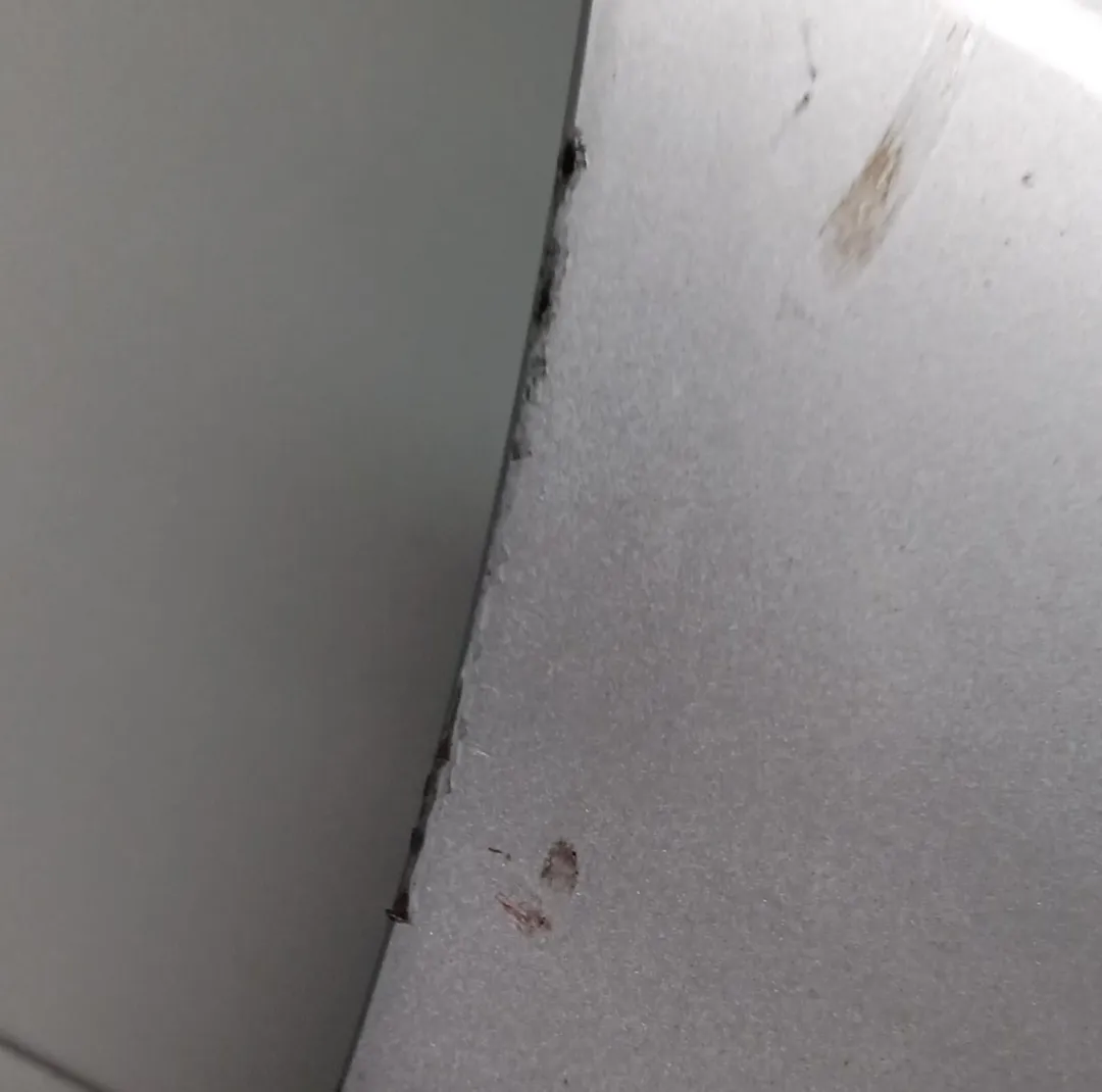 Porta anteriore destro