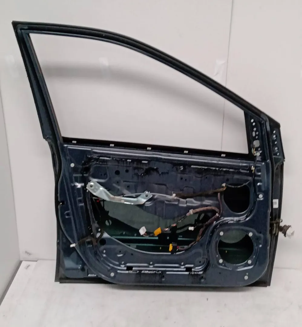 Porta anteriore sinistro