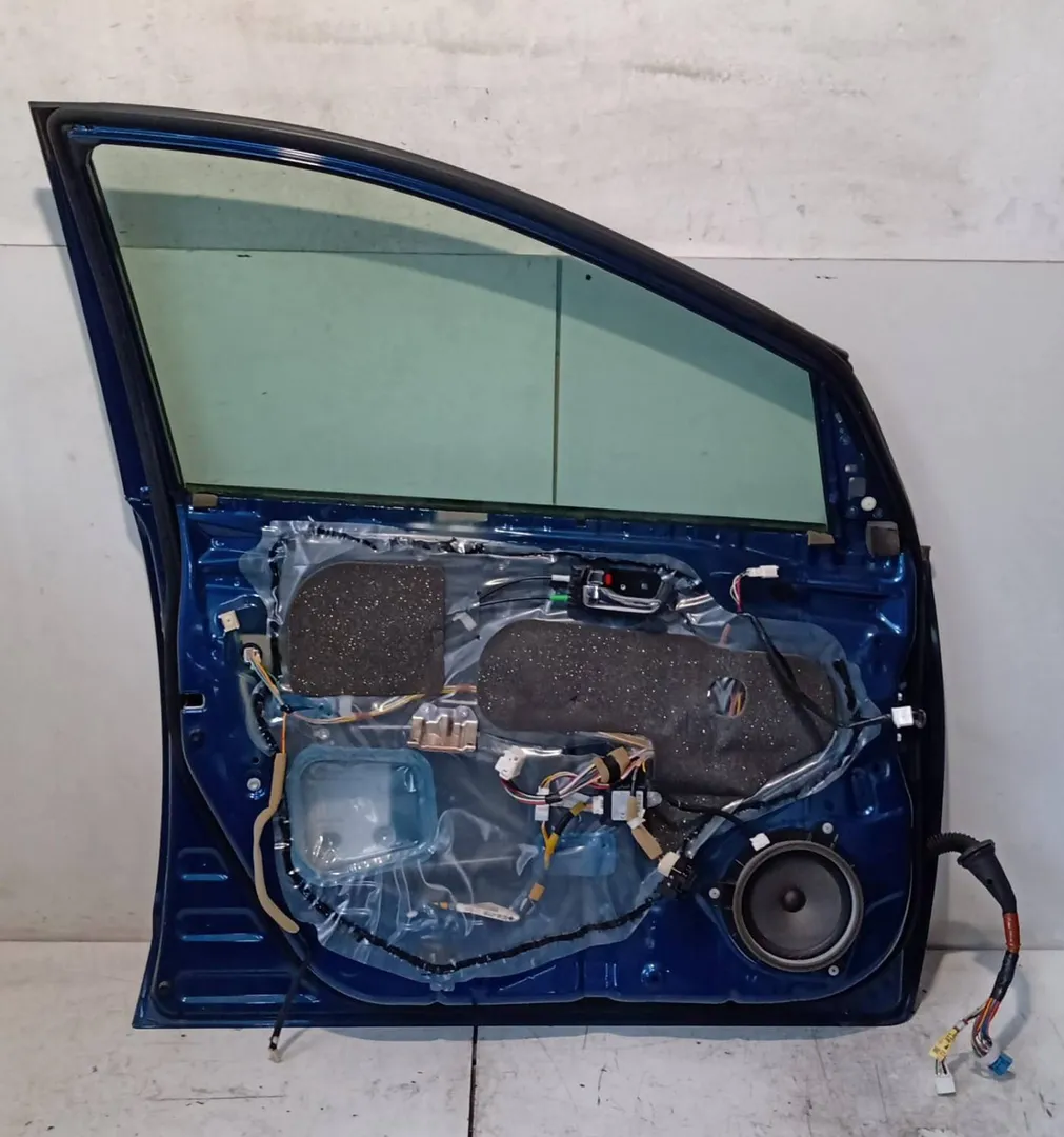 Porta anteriore sinistro