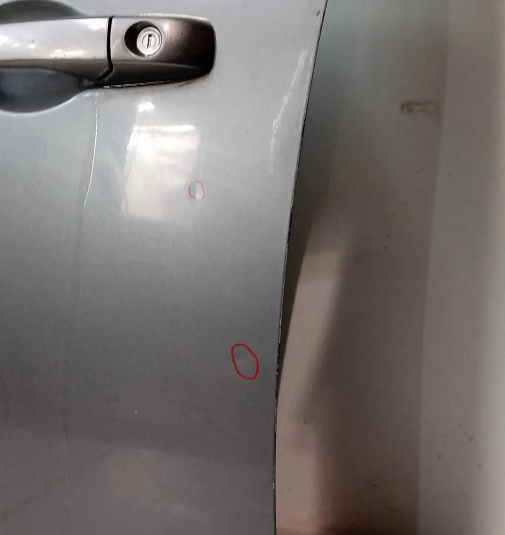 Porta anteriore sinistro