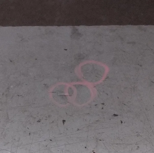 Porta anteriore destro