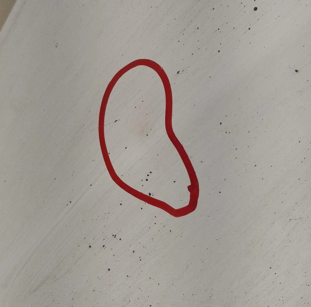 Cofano anteriore Cofano anteriore