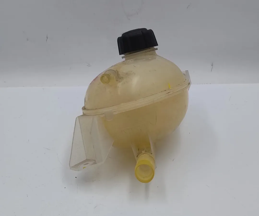 Vaschetta compensazione radiatore Vaschetta compensazione radiatore