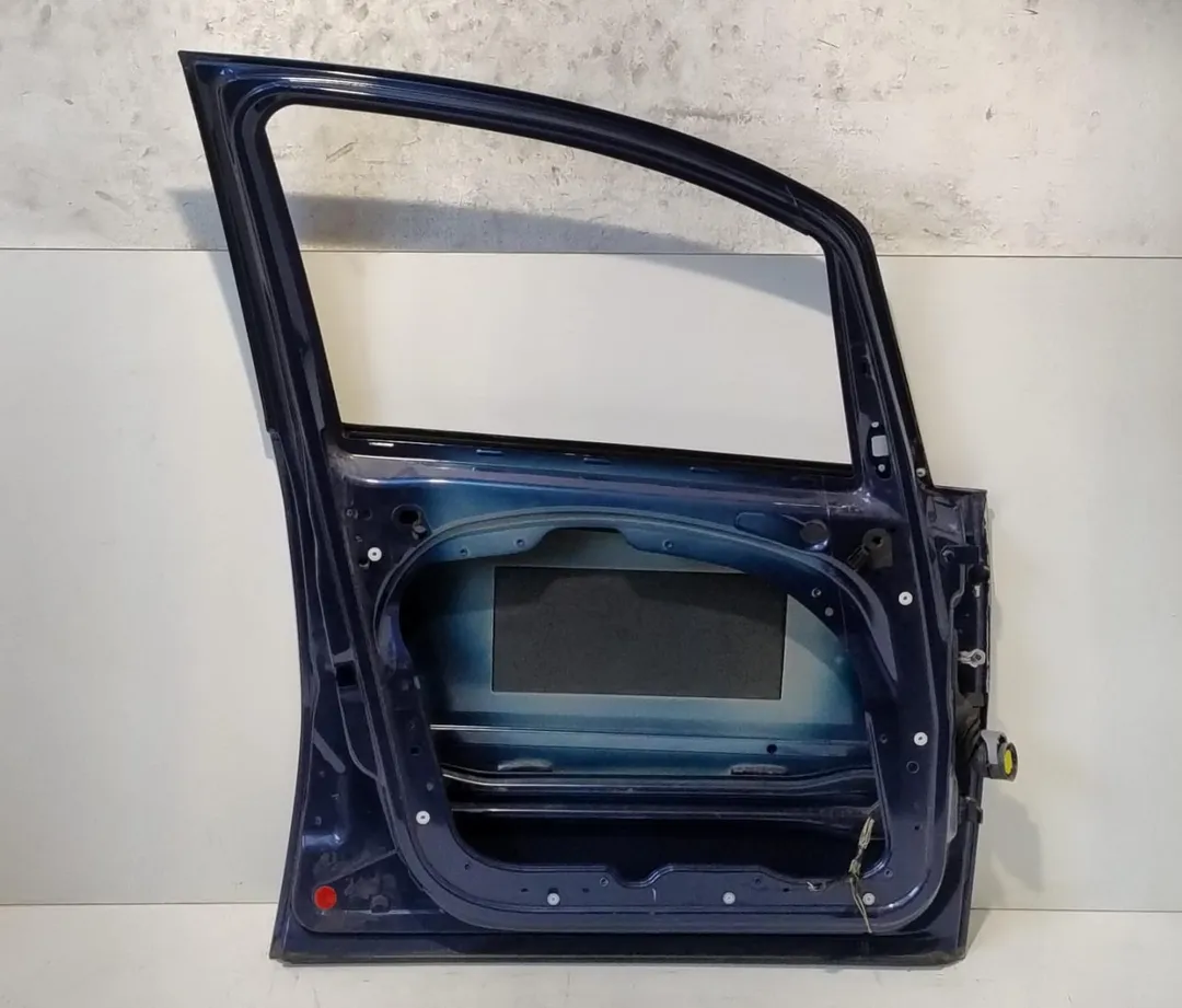Porta anteriore sinistro