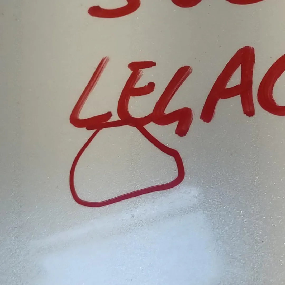 Parafango anteriore sinistro
